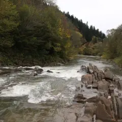 Wodospady i kamieniste koryto rzeki w rezerwacie przyrody Sine Wiry. Jesienne drzewa otaczają rwący nurt.
