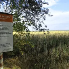 Tablica informacyjna w rezerwacie przyrody Piskory. Za nią rozciąga się rozległe, trawiaste pole pod błękitnym niebem.