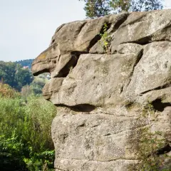 Skamieniałe Miasto, rezerwat przyrody. Zdjęcia skalnych formacji przypominających zwierzęta, na tle zielonych wzgórz i lasów.
