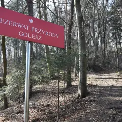 Czerwony znak informuje o wejściu do **rezerwat przyrody Golesz**. Ścieżka prowadzi przez las pełen drzew.