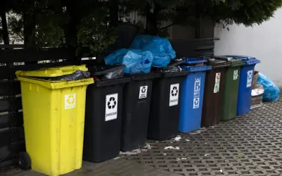Różnokolorowe kosze na śmieci, w tym żółty na plastik, czarne na zmieszane, niebieski na papier. Zastanawiasz się, ile za śmieci w gminie?