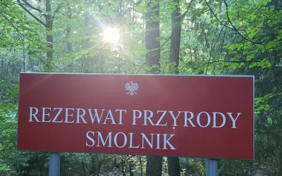 Tablica informuje o rezerwacie przyrody Smolnik, jednym z pięknych rezerwatów przyrody opolskie. Słońce przebija się przez liście drzew.