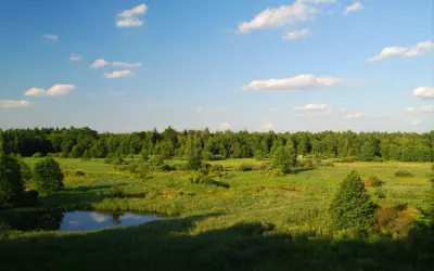 Zielone łąki i lasy, małe jeziorko i błękitne niebo z chmurami. Piękny krajobraz rezerwatu przyrody Wisła.