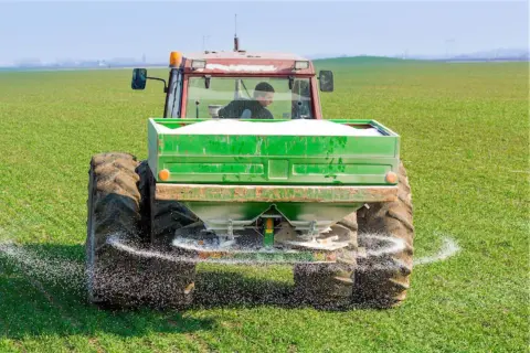 Traktor rozsypuje nawóz na zielonym polu. To przykład działań, które mogą być częścią "zielonego ładu dla rolników", mającego na celu zrównoważone rolnictwo.