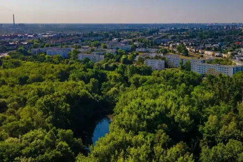 Zielone tereny rezerwatu przyrody Żurawiniec otaczają osiedle mieszkaniowe. Widać rzekę i drzewa.