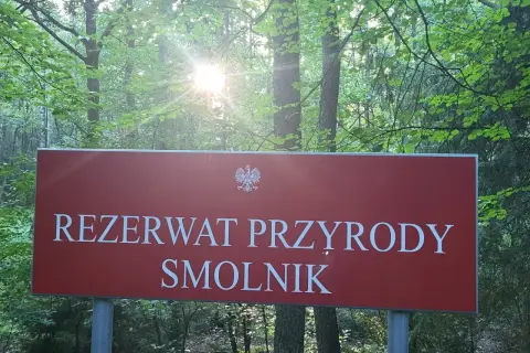 Tablica informuje o rezerwacie przyrody Smolnik, jednym z pięknych rezerwatów przyrody opolskie. Słońce przebija się przez liście drzew.