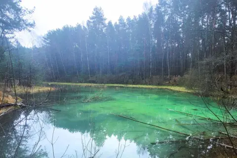 Turkusowa woda w rezerwacie przyrody Dolina Żabnika, otoczona gęstym lasem.
