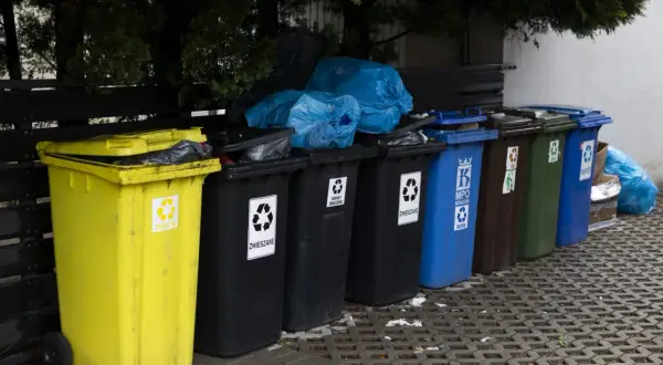 Różnokolorowe kosze na śmieci, w tym żółty na plastik, czarne na zmieszane, niebieski na papier. Zastanawiasz się, ile za śmieci w gminie?