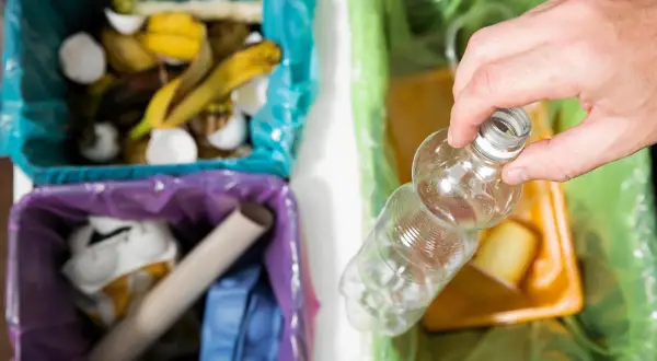 Segregacja odpadów: czy śmieci do segregacji należy myć? Widać kosze na bioodpady, papier i plastik.