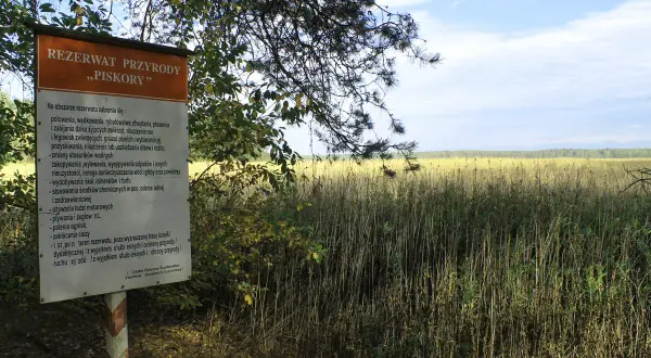 Tablica informacyjna w rezerwacie przyrody Piskory. Za nią rozciąga się rozległe, trawiaste pole pod błękitnym niebem.