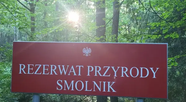 Tablica informuje o rezerwacie przyrody Smolnik, jednym z pięknych rezerwatów przyrody opolskie. Słońce przebija się przez liście drzew.