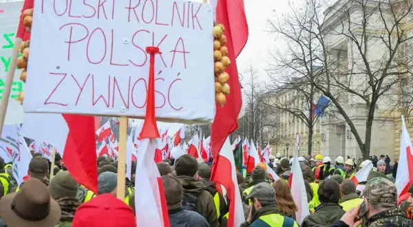 Rolnicy protestują przeciwko zielonemu ładowi, domagając się polskiego rolnika i polskiej żywności. Transparent z cebulami i flagi Polski.
