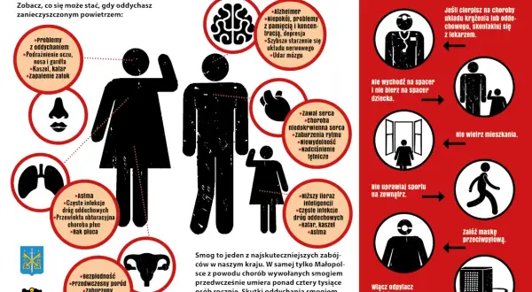 Smog co robic? Infografika pokazuje skutki zanieczyszczonego powietrza dla zdrowia i jak się chronić.