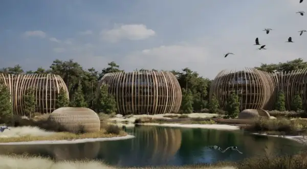 Architektoniczne budynki przypominające jaja, otoczone lasem, nad jeziorem, gdzie latają ptaki. To idealne miejsce, by poczuć się jak w rezerwacie przyrody ptasi raj.