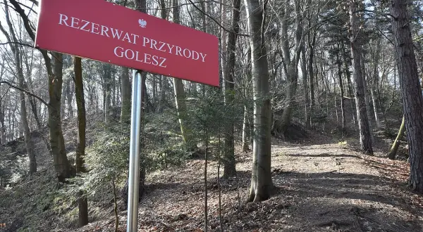Czerwony znak informuje o wejściu do **rezerwat przyrody Golesz**. Ścieżka prowadzi przez las pełen drzew.