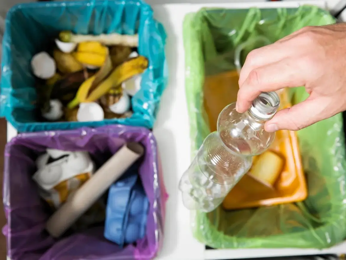 Segregacja odpadów: czy śmieci do segregacji należy myć? Widać kosze na bioodpady, papier i plastik.