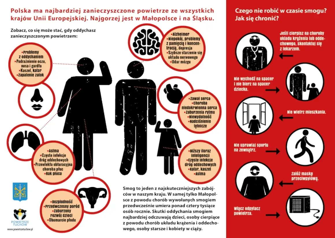 Smog co robic? Infografika pokazuje skutki zanieczyszczonego powietrza dla zdrowia i jak się chronić.