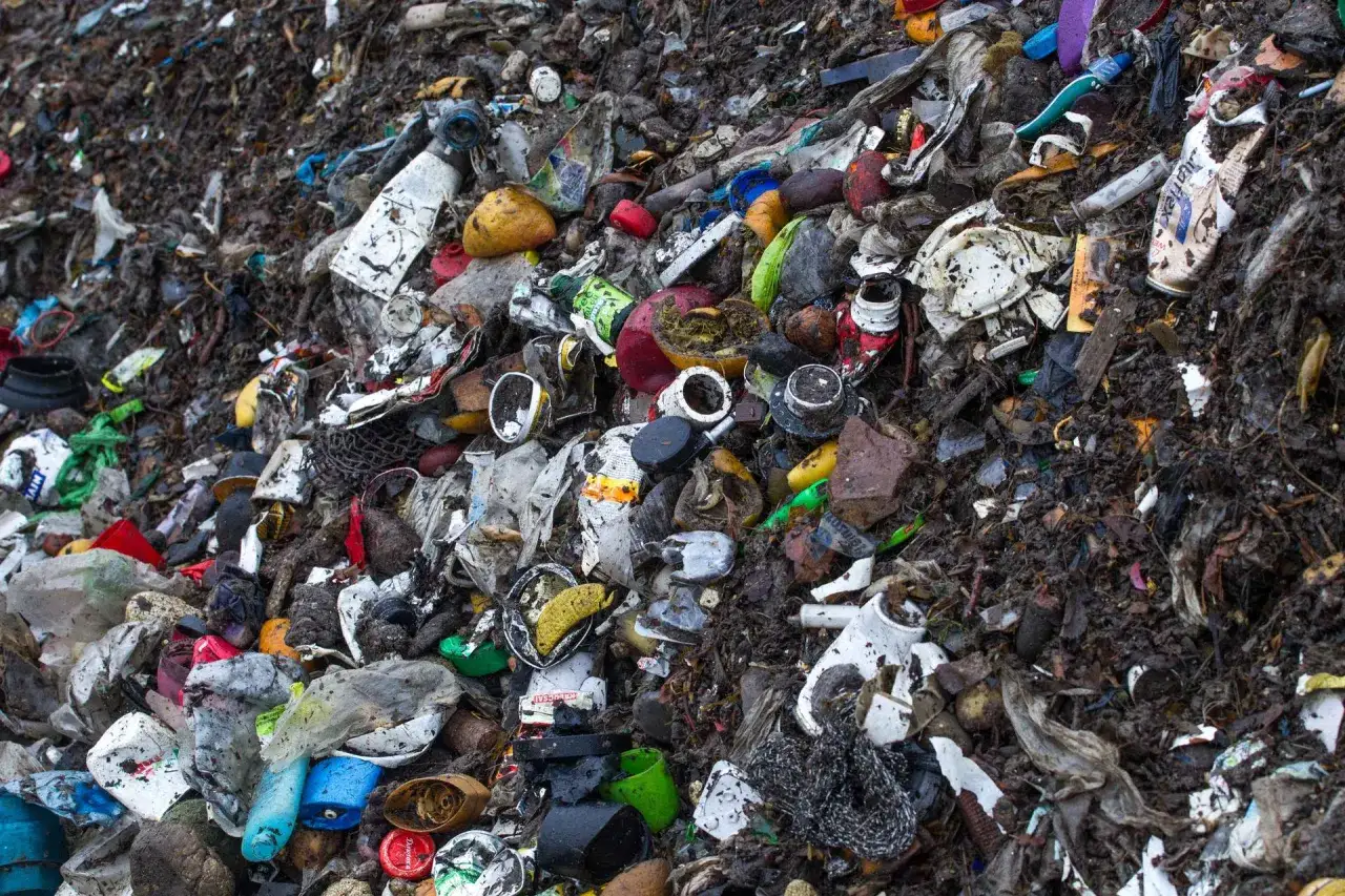 Góra śmieci: plastikowe butelki, puszki, resztki jedzenia. Zastanawiasz się, ile kosztuje tona śmieci na wysypisku?