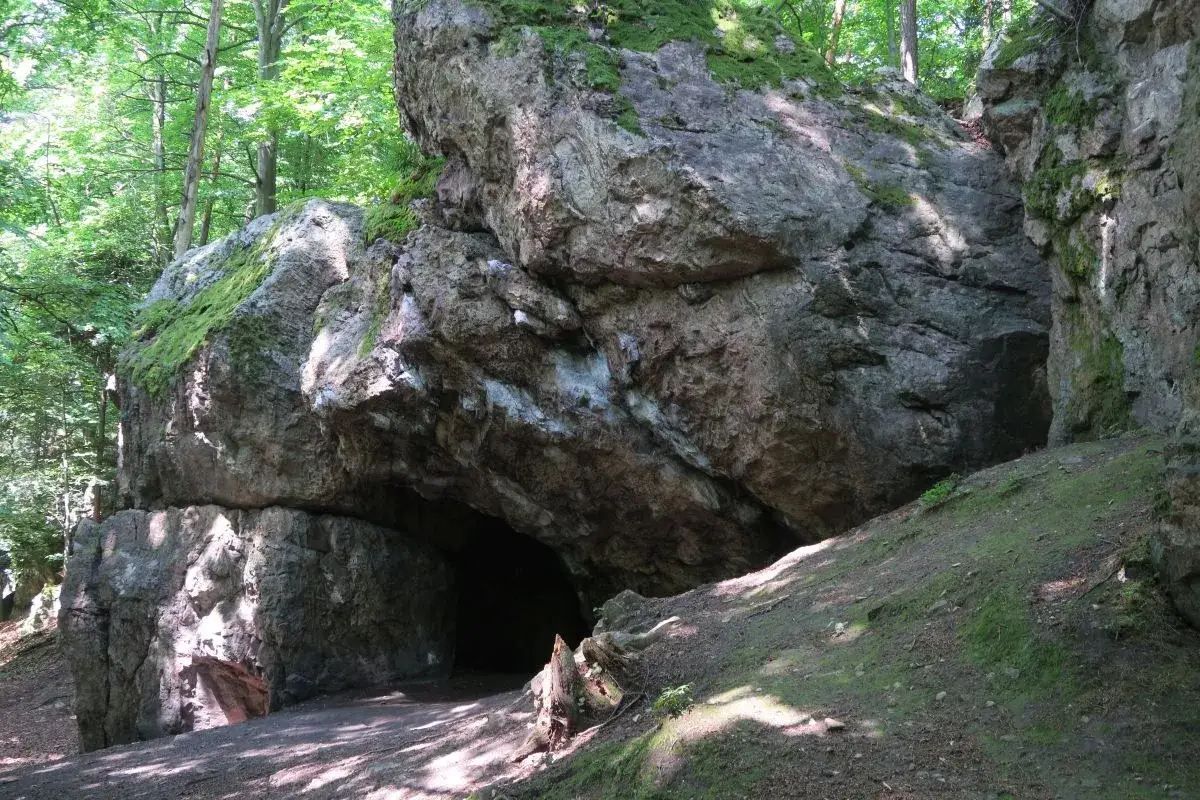 Wejście do jaskini w rezerwacie przyrody Węże, porośnięte mchem skały i drzewa.
