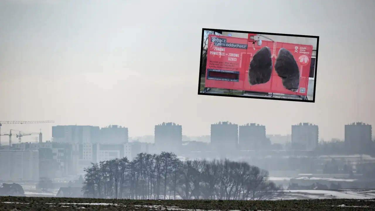 Smog w mieście. Billboard pokazuje zniszczone płuca i apeluje: