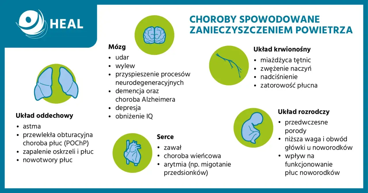 Ilustracja pokazuje, jakie są źródła i skutki zanieczyszczeń powietrza dla układu oddechowego, mózgu, serca, układu krwionośnego i rozrodczego.