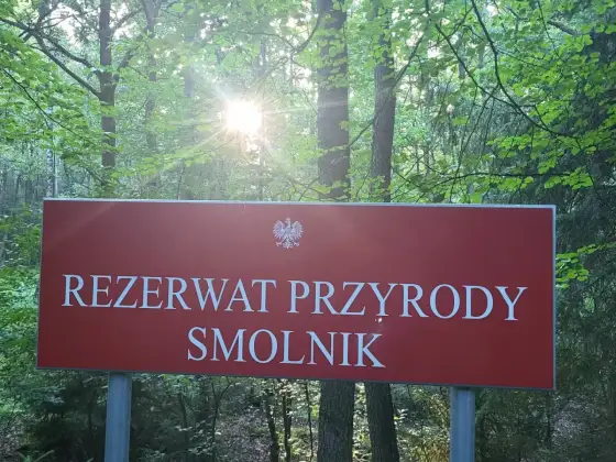 Rezerwaty przyrody Opolszczyzny: Odkryj dzikie skarby regionu