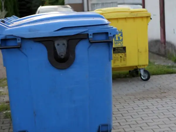 Niebieski i żółty kontener na śmieci stoją na chodniku. Zastanawiasz się, ile kosztuje wywóz śmieci w Poznaniu?